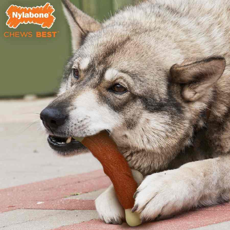 Nylabone Costilla Power Chew, Sabor Res L, , large image number null